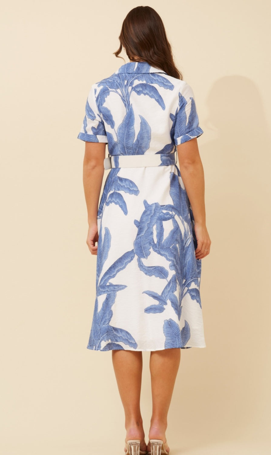 Blue & White Shirt Style Dress