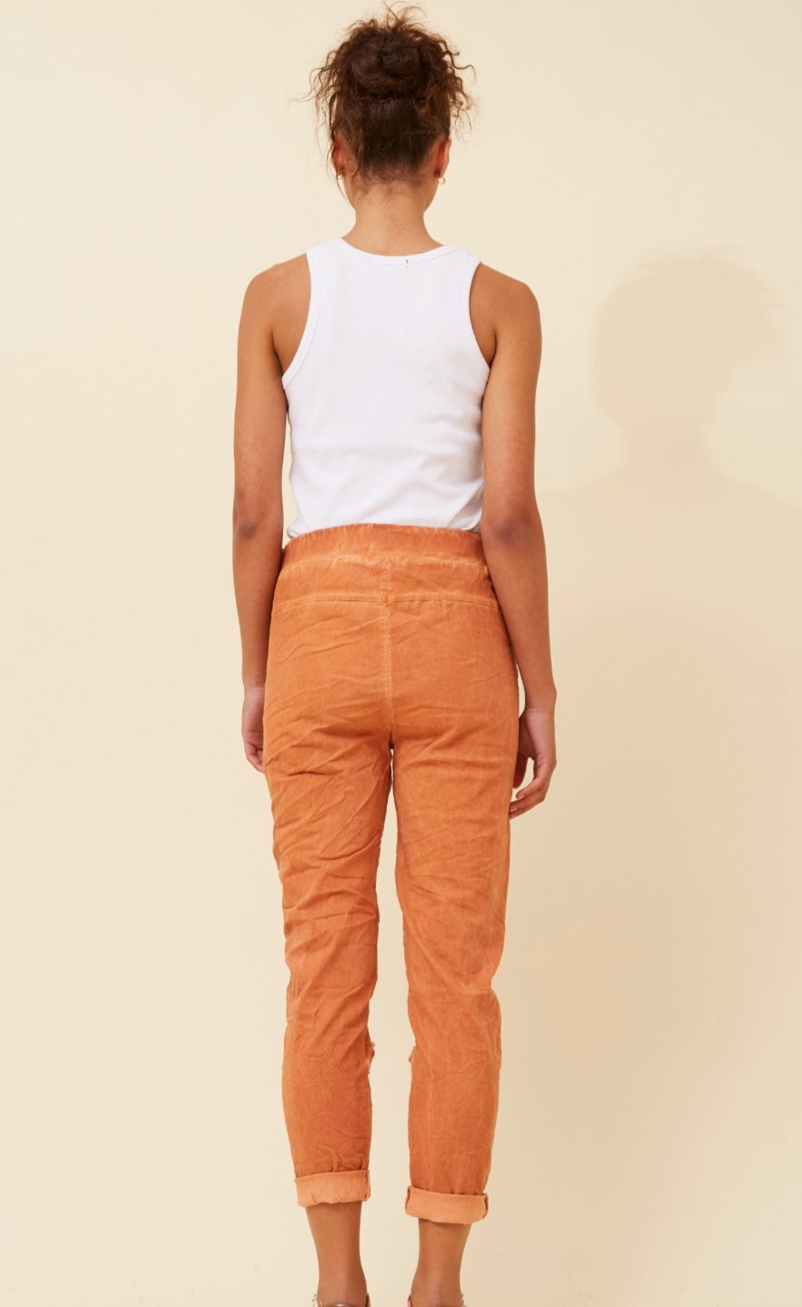Janya Cinamon Joggers