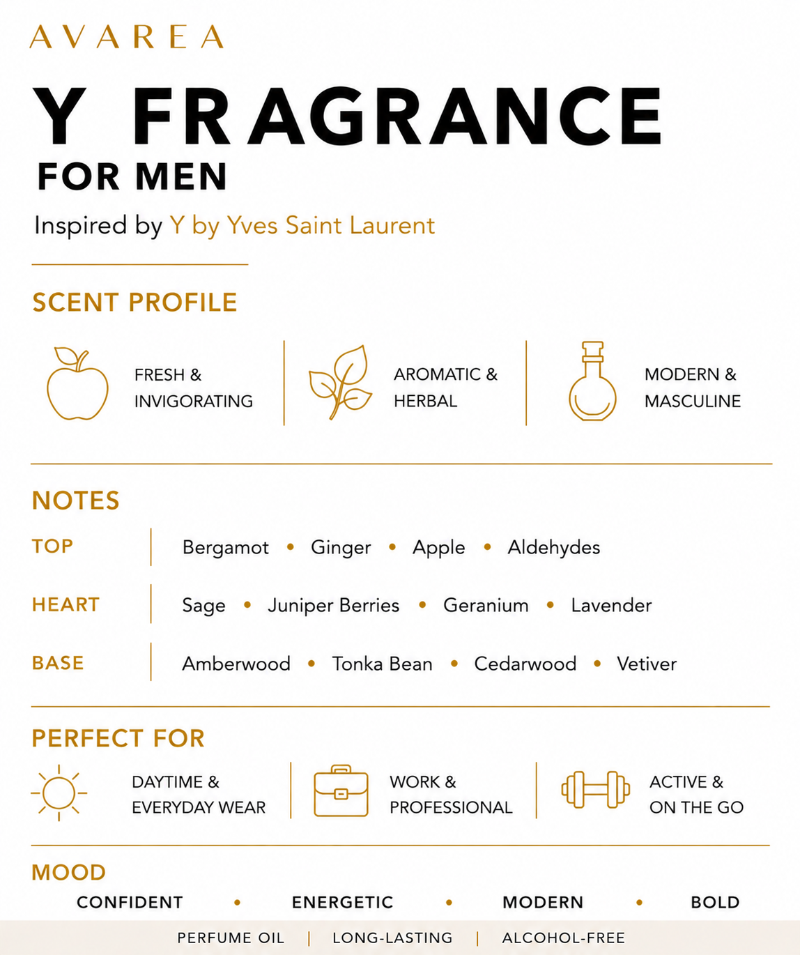 Y FRAGRANCE FOR HIM Inspiration