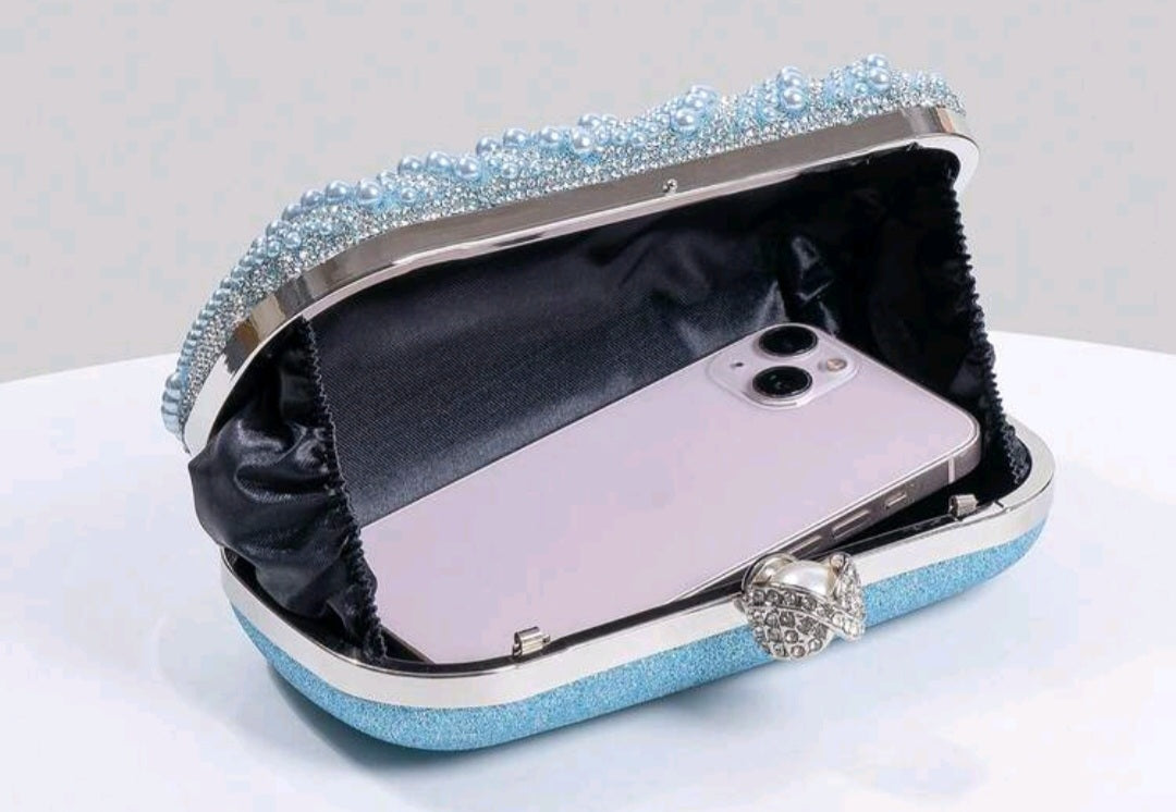 Sky Blue Beaded Clutch