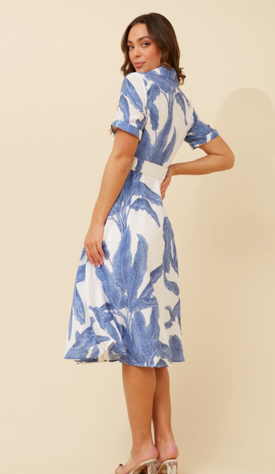 Blue & White Shirt Style Dress